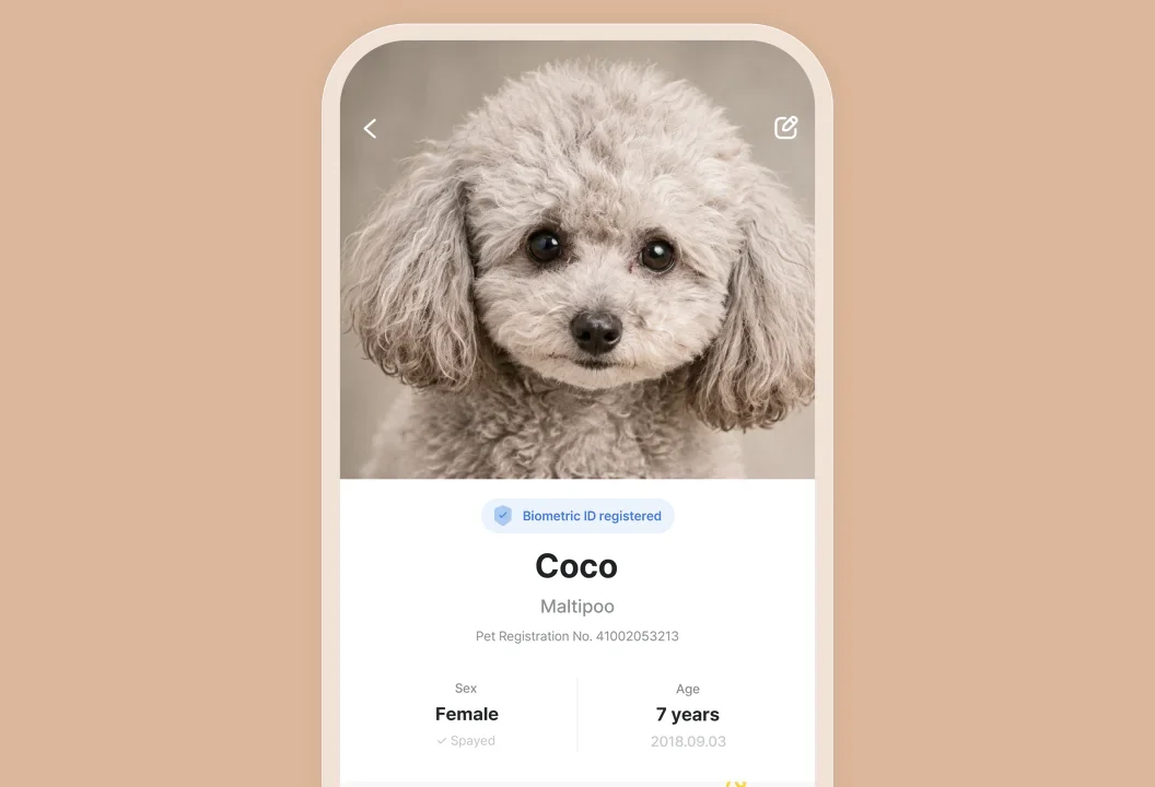 Profilbildschirm eines in der Petnow-App registrierten Hundes